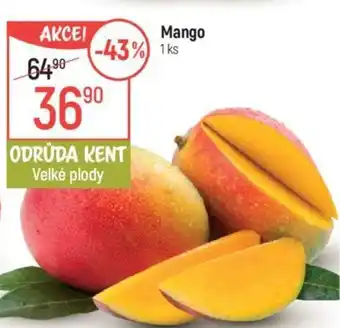 Globus Mango nabídka