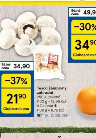 Tesco Žampiony zahradní nabídka