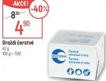 Droždí čerstvé