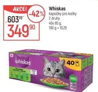Globus Whiskas nabídka