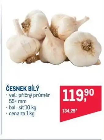 Makro ČESNEK BÍLÝ nabídka