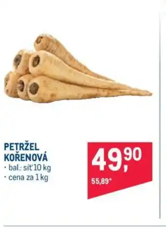 Makro PETRŽEL KOŘENOVÁ nabídka