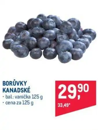 Makro BORŮVKY KANADSKÉ nabídka