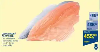 Makro LOSOS OBECNÝ FILET TRIM D nabídka