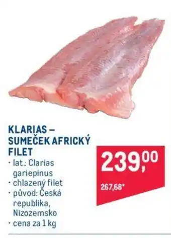 Makro KLARIAS- SUMEČEK AFRICKÝ FILET nabídka