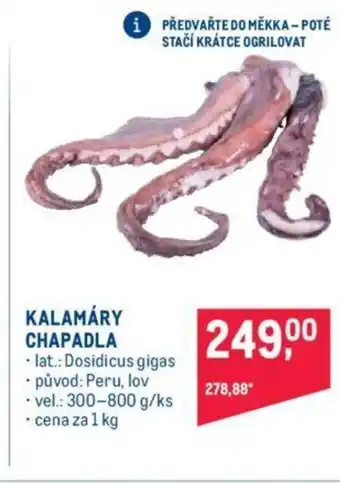 Makro KALAMÁRY CHAPADLA nabídka