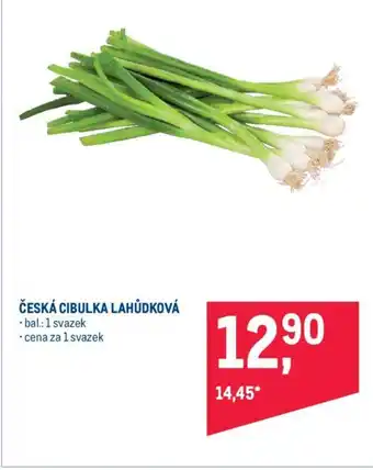 Makro ČESKÁ CIBULKA LAHŮDKOVÁ nabídka