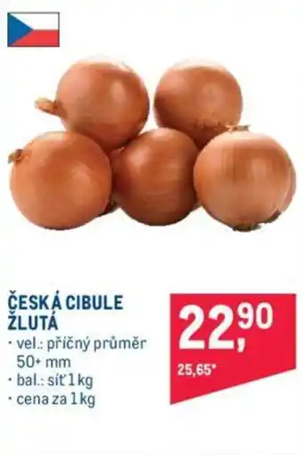 Makro ČESKÁ CIBULE ŽLUTÁ nabídka