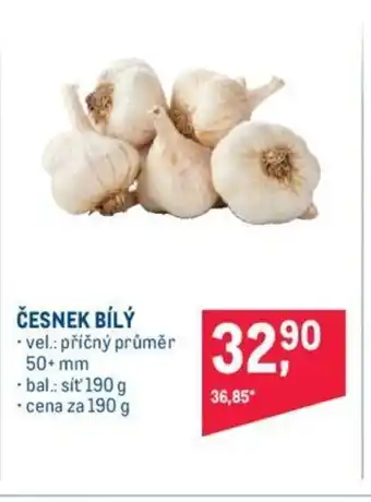 Makro ČESNEK BÍLÝ nabídka
