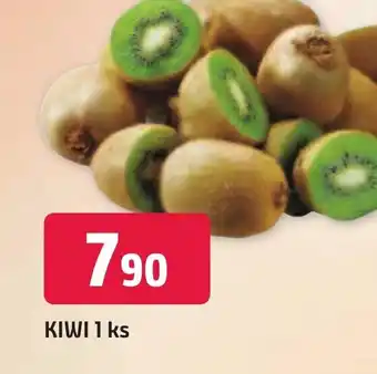 Trefa KIWI 1 ks nabídka