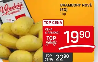 Flop BRAMBORY NOVÉ (EG) nabídka