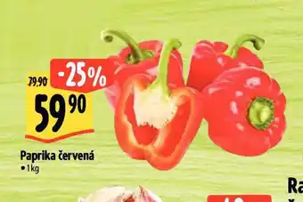 Albert Paprika červená nabídka