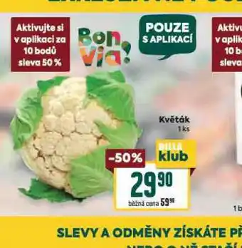 Billa Květák nabídka