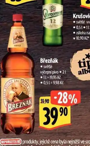 Albert Pivo březňák nabídka