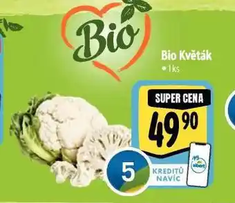 Albert Bio květák nabídka