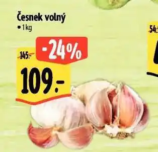 Albert Česnek volný nabídka