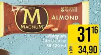 Jip Magnum ruzne druhy 85-120 ml nabídka