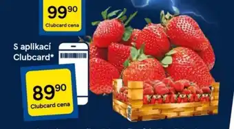 Tesco Jahody nabídka