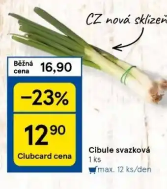 Tesco Cibule svazková nabídka