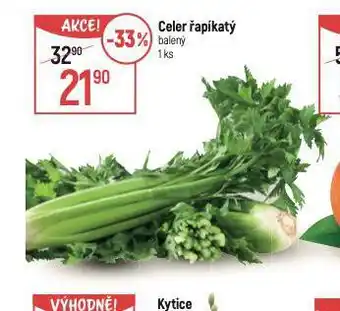 Globus Celer řapíkatý nabídka