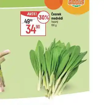 Globus Česnek medvědí nabídka