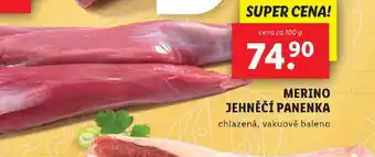 MERINO JEHNĚČÍ PANENKA