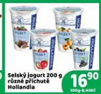 Brněnka Selský jogurt 200 g různé příchutě Hollandia nabídka