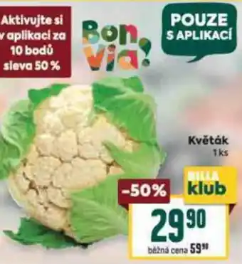 Billa Květák nabídka