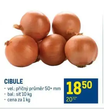 Makro CIBULE nabídka