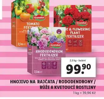 Lidl Hnojivo na rododendrony nabídka