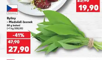 Kaufland Medvědí česnek nabídka