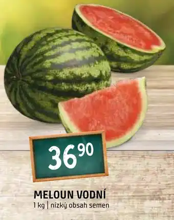 Terno MELOUN VODNÍ nabídka