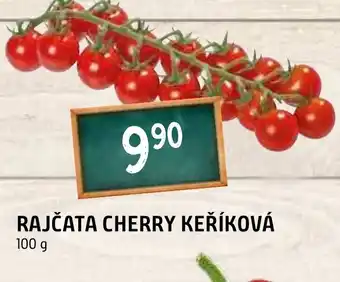 Terno RAJČATA CHERRY KEŘÍKOVÁ nabídka