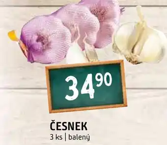 Terno ČESNEK nabídka