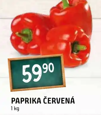 Terno PAPRIKA ČERVENÁ nabídka