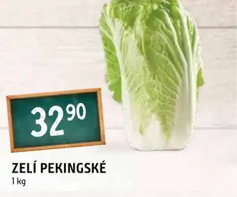 Terno ZELÍ PEKINGSKÉ nabídka