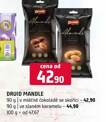 Terno DRUID MANDLE nabídka