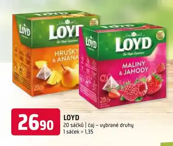 Terno LOYD nabídka
