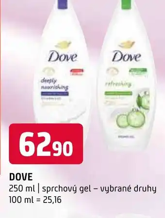 Terno DOVE 250 ml nabídka