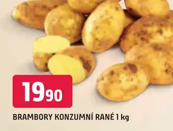 Trefa BRAMBORY KONZUMNÍ RANÉ 1 kg nabídka