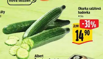 Albert Okurka salátová hadovka nabídka