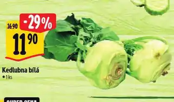 Albert Kedlubna nabídka