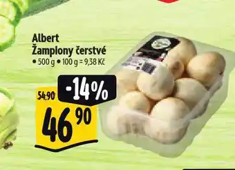 Albert Žampiony čerstvé nabídka