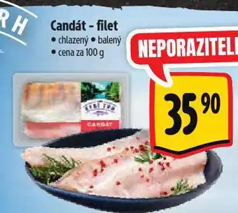 Albert Candát filet nabídka