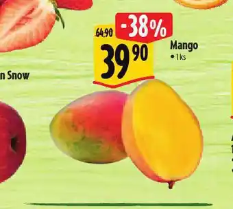 Albert Mango nabídka