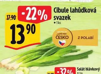 Albert Cibule lahůdková nabídka