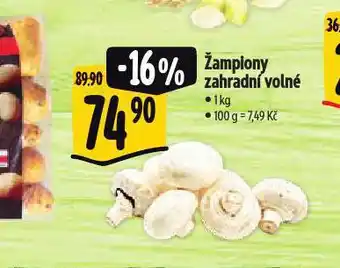 Albert Žampiony zahradní nabídka