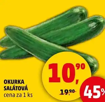 Penny Market OKURKA SALÁTOVÁ nabídka