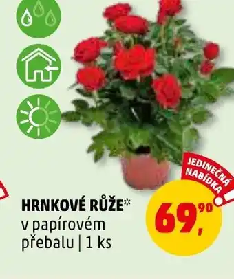 Penny Market HRNKOVÉ RŮŽE nabídka