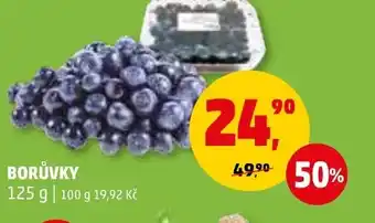Penny Market BORŮVKY nabídka